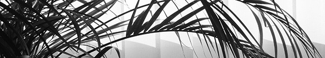 méthode de travail Geneviève Perraudin